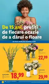 Catalog Lidl săptămâna 33 Pagină 62