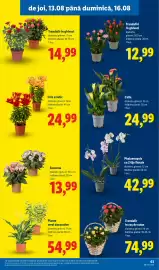 Catalog Lidl săptămâna 33 Pagină 63