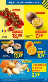 Catalog Lidl săptămâna 33 Pagină 65