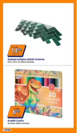 Action gazetka tydzień 32 Strona 10