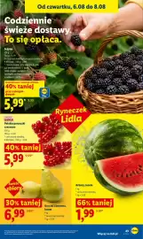 Lidl gazetka Strona 43