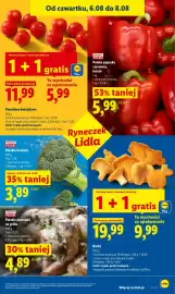 Lidl gazetka Strona 45