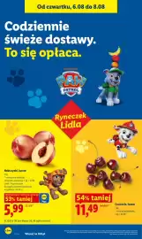 Lidl gazetka Strona 48