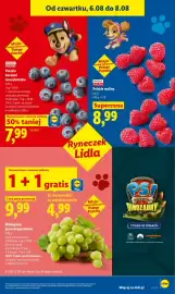 Lidl gazetka Strona 49