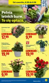 Lidl gazetka Strona 87