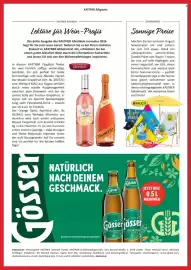 Kastner Flugblatt Seite 20