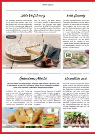 Kastner Flugblatt Seite 2