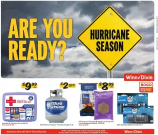 Winn Dixie weekly ad Page 8