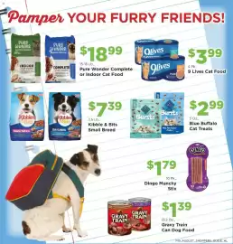 Homeland Market weekly ad Page 19