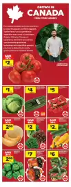 Real Canadian Superstore flyer week 32 Page 14