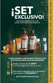 Catálogo Yves Rocher Página 105