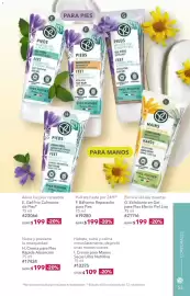 Catálogo Yves Rocher Página 53