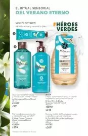 Catálogo Yves Rocher Página 62