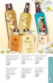Catálogo Yves Rocher Página 63