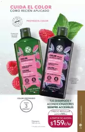 Catálogo Yves Rocher Página 79