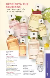 Catálogo Yves Rocher Página 81