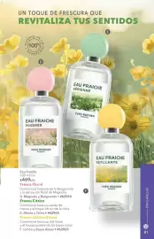 Catálogo Yves Rocher Página 83