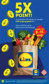 Lidl tilbudsavis uge 33 Side 18