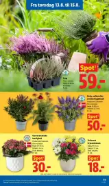 Lidl tilbudsavis uge 33 Side 34