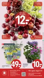 REMA 1000 tilbudsavis uge 33 Side 20