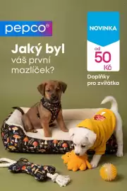 Pepco leták Strana 1