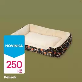 Pepco leták Strana 4