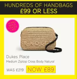 Radley leaflet Page 3