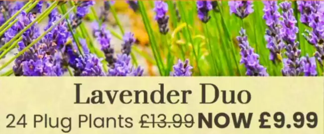 Dobbies catalogue Page 1