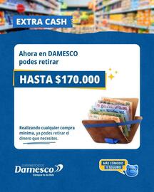 Catálogo Supermercados Damesco Página 8