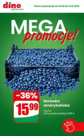 Dino gazetka tydzień 32 Strona 1