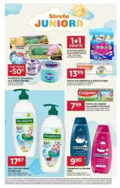 Stokrotka Market gazetka tydzień 32 Strona 33
