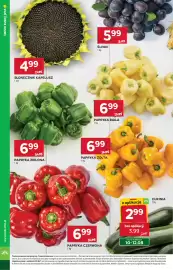 Stokrotka gazetka tydzień 32 Strona 8