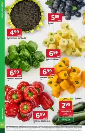 Stokrotka gazetka tydzień 32 Strona 8