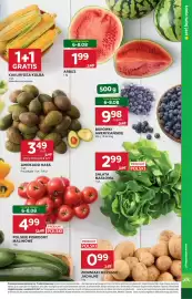 Stokrotka gazetka tydzień 32 Strona 9