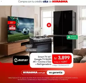 Catálogo Hiraoka Página 2