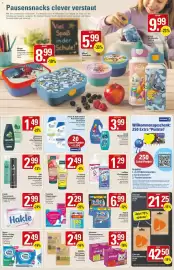 WEZ Prospekt woche 33 Seite 15
