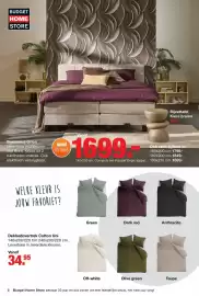 Budget Home Store folder Pagina 2