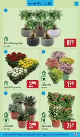 ALDI folder week 33 Pagina 31