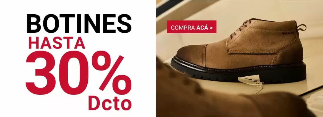 Ferracini (válido hasta 20-08)