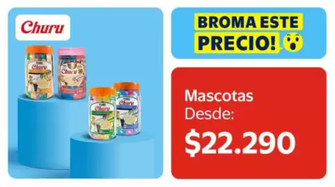 Catálogo Lider Página 21