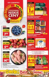 Biedronka gazetka tydzień 32 Strona 1