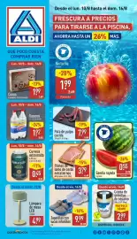 Folleto ALDI semana 33 Página 1