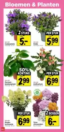 Vomar Voordeelmarkt folder Pagina 31