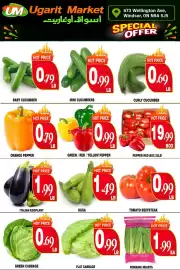 Ugarit Market flyer week 32 Page 4
