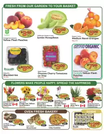 The Garden Basket flyer week 32 Page 2