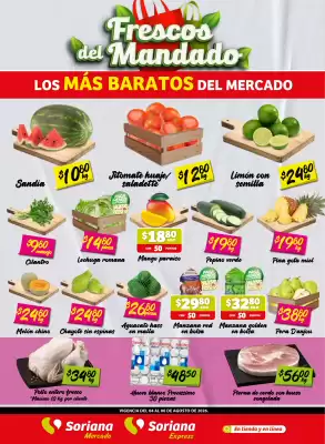 Soriana Express (válido hasta 6-08)