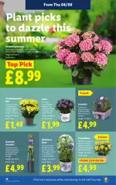 Lidl leaflet week 32 Page 22