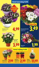 Lidl folder week 33 Pagina 16