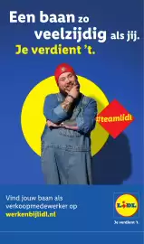 Lidl folder week 33 Pagina 51