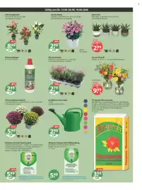V Markt Prospekt woche 33 Seite 17